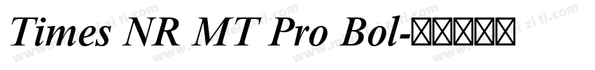 Times NR MT Pro Bol字体转换